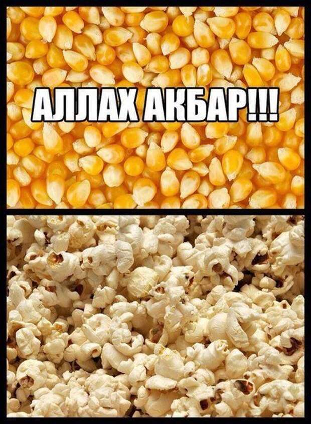 Прикольные фотомемы (15 фото)