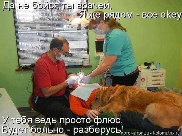 Лучшие котоматрицы недели