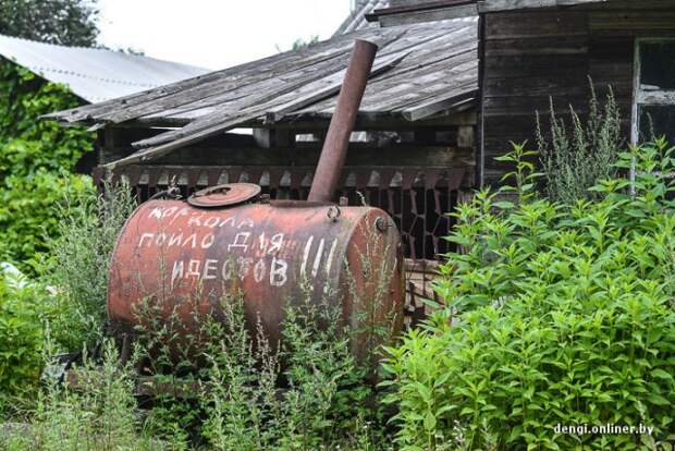 Один в поле воин егерь, лес, природа