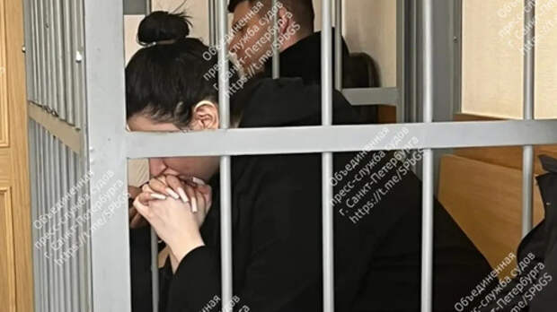 Карапетян снесла детей на пешеходном переходе. Суд отпустил