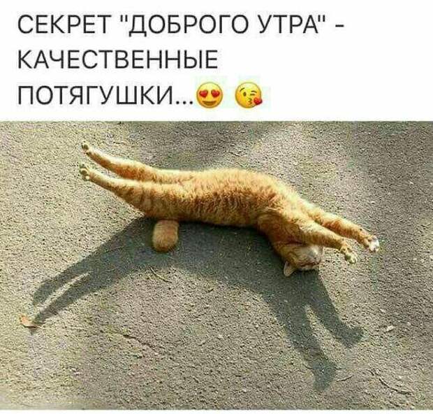 Улетные мемы (пятница)