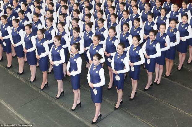 Как в Китае проходит набор на должности стюардесс 