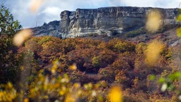 Вид на лес и горы в районе села Трудолюбовка в Крыму