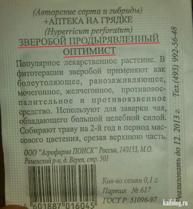 Прикольные семена (35 фото)