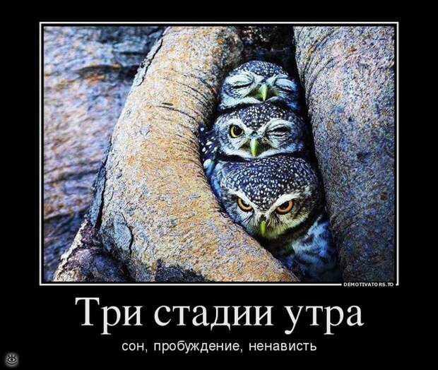 Посмеялись - и хватит 7