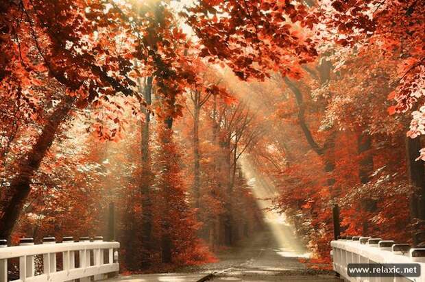 Sun_rays_014