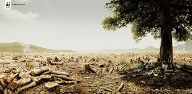 Креативная реклама WWF (30)