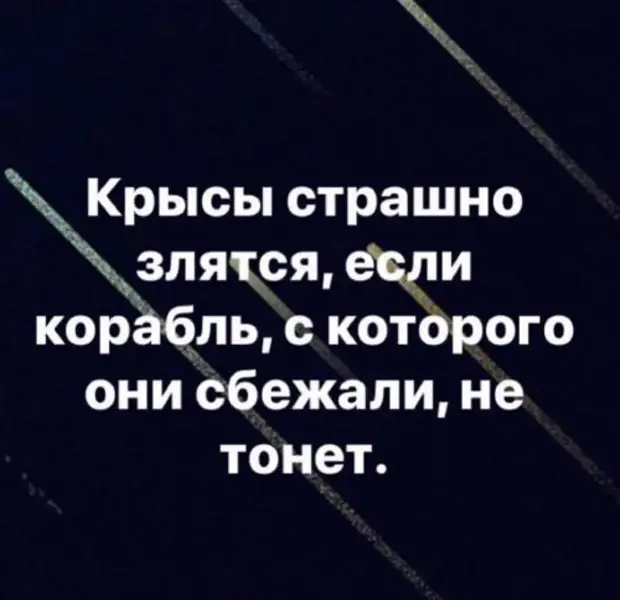 Когда все крысы убежали корабль перестал тонуть картинки