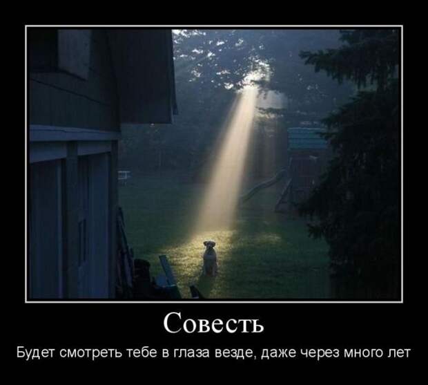 Демотиваторы (30 фото)