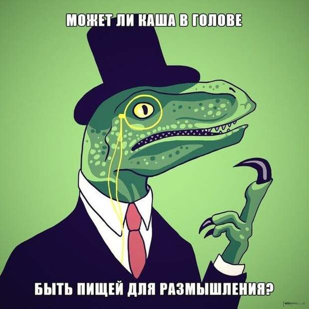 Смешные картинки с подписями катинки, прикол, юмор