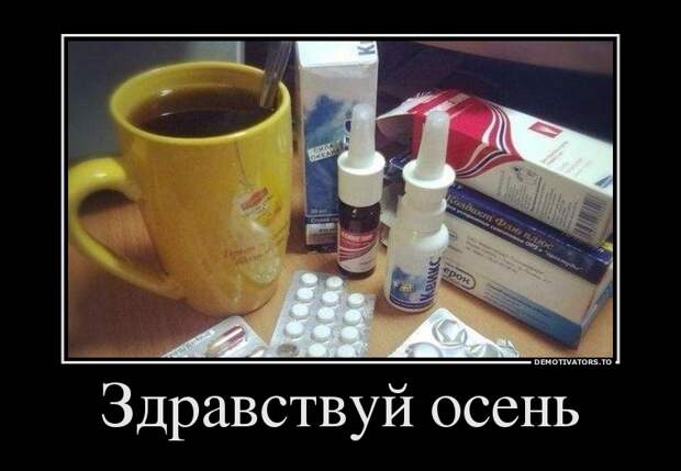 Демотиваторы Демотиваторы