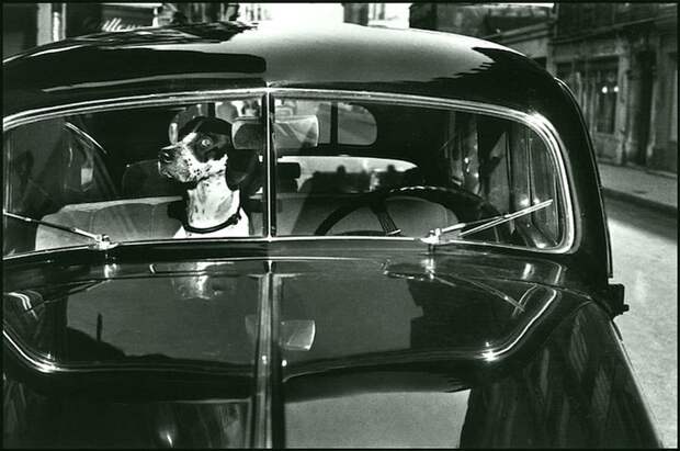 Эллиот Эрвитт - Париж 1951 Весь Мир в объективе, история, фотография