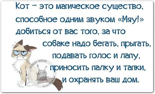 За всё хорошее в этой жизни приходится хотеть спать...