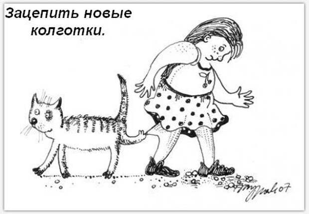 Обязанности кота по дому!