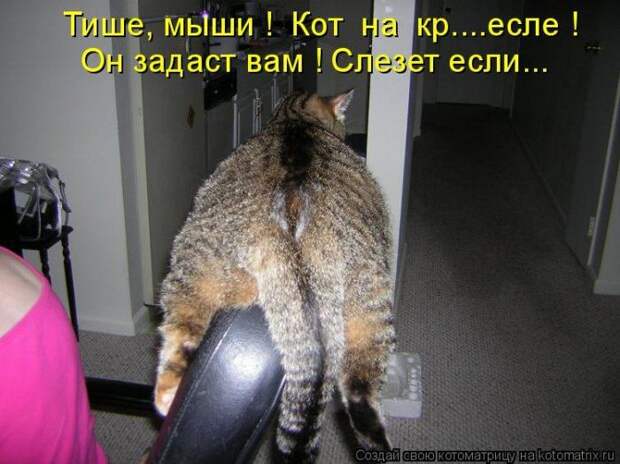 Мысли вслух :)