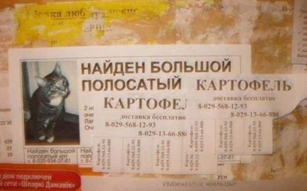 Маразмы в рекламе. Свежие прикольные объявления и щиты Маразмы в рекламе. Свежие прикольные объявления и щиты