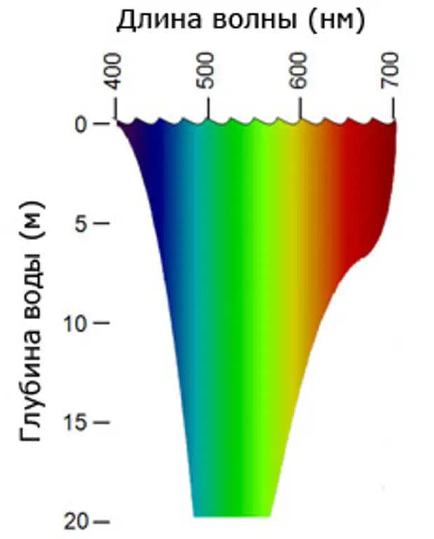 Вода какой свет. Глубина проникновения света в воде. Проникающая способность света в воде. Спектр света глубина воды. Глубина проникновения света в море.