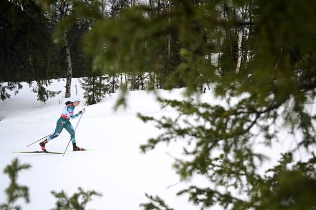 Собака выбежала на трассу и сбила двух лыжниц на чемпионате России