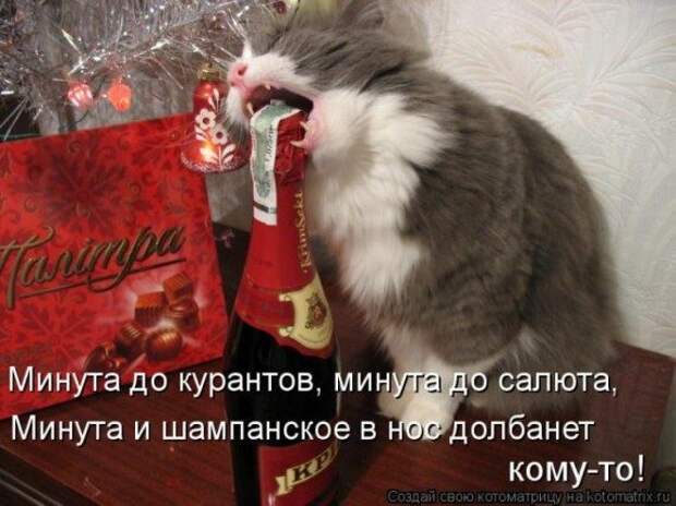 Котоматрицы на Новый год