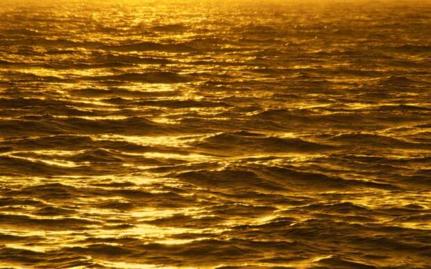 ocean_of_gold_wallpaper_by_eddieretelj-d37asi6