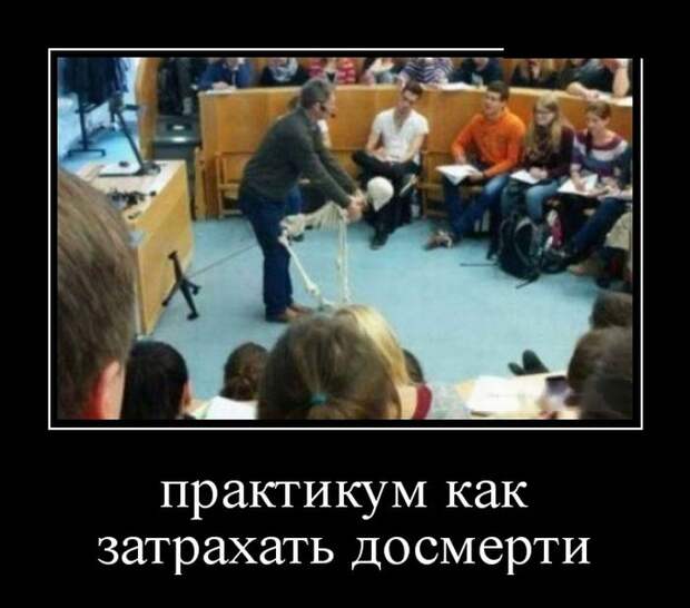 Демотиваторы (30 фото)