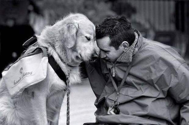 Позитивные фотографии