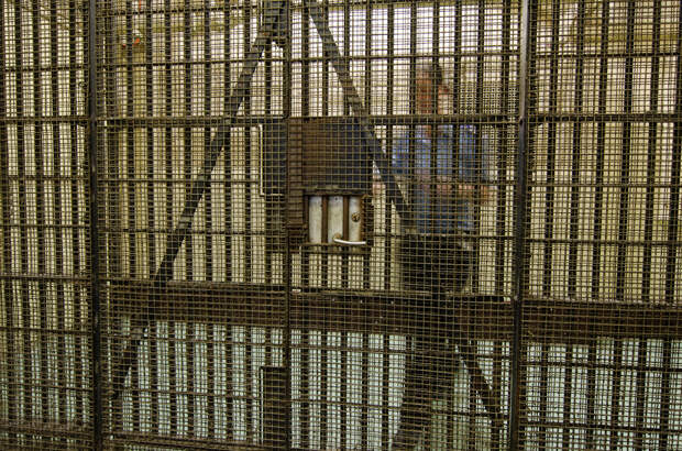 Извращенец подглядывал за женщинами в туалете по неожиданной причине