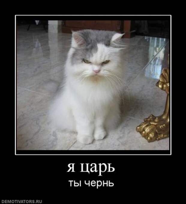 Смешные демотиваторы на разные темы.