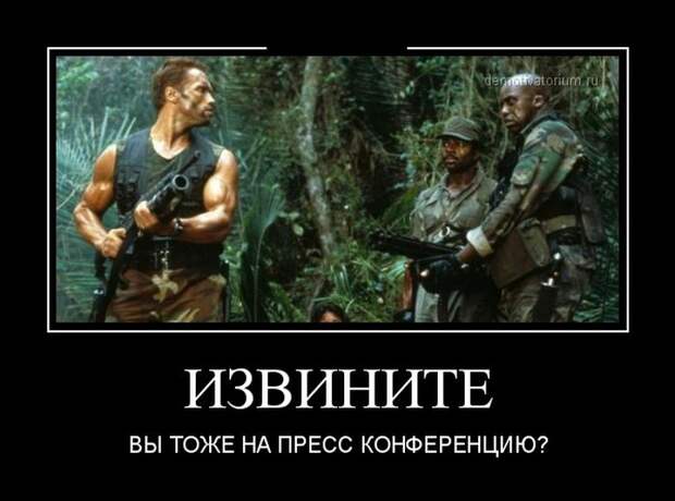 Демотиваторы бревно, демотиваторы, юмор