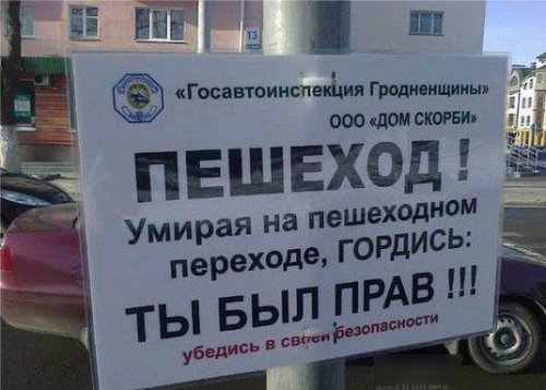 Автоприколы - дураки и дороги