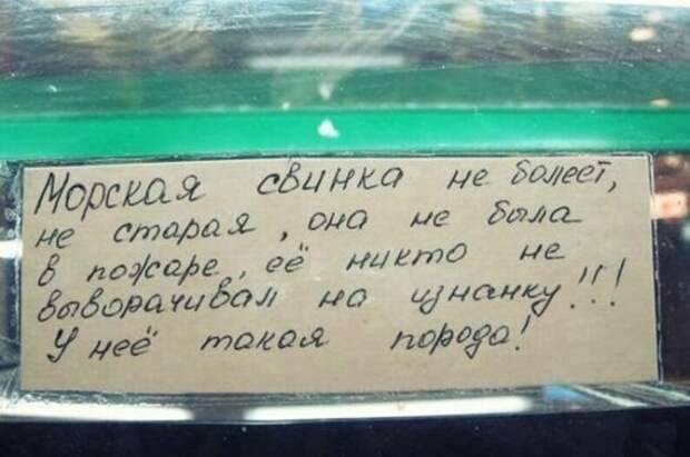clip_image009