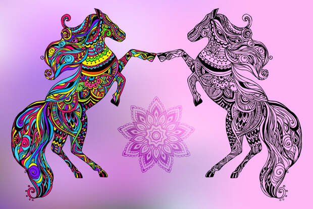 horse