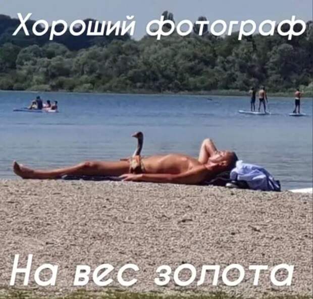 Прикольные и смешные картинки