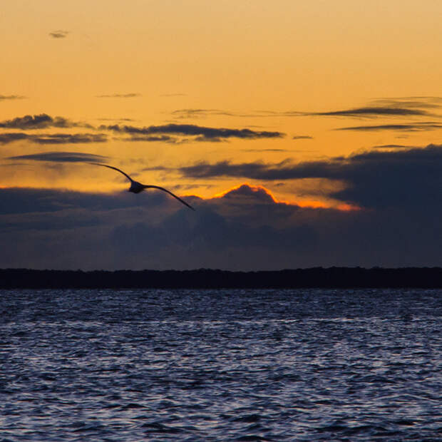 Jervis Bay, Австралия. Рассвет над полуостровом Beecroft