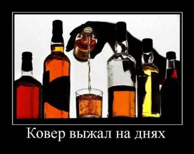 Классные картинки, собраные в демотиваторы!