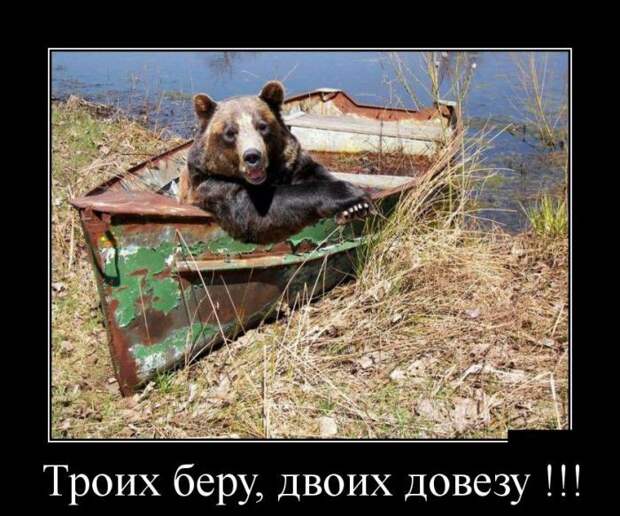 Подборка демотиваторов, которые поднимут вам настроение! демотиваторы, юмор