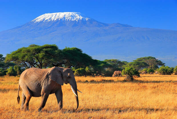 Mount-Kilimanjaro