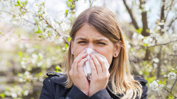 Сезонная аллергия или простуда: как не ошибиться с лечением