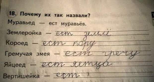 Гениальные ответы детей в школьных тетрадях