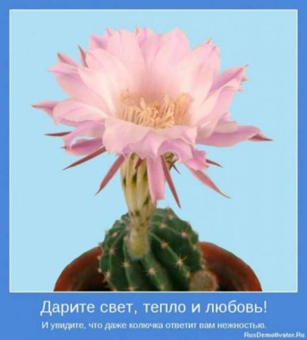 Картинки серьезные темы мотиваторы.