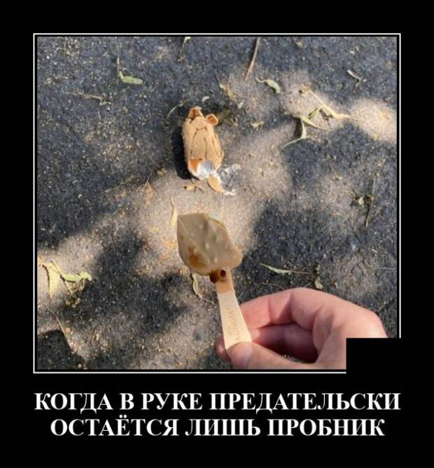 Демотиваторы 28 июля 2021 года