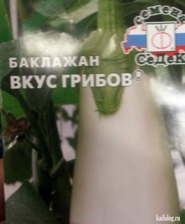 Прикольные семена (35 фото)