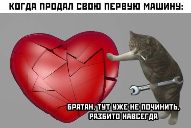 Смешные картинки вечер 22 сентября 2021 года