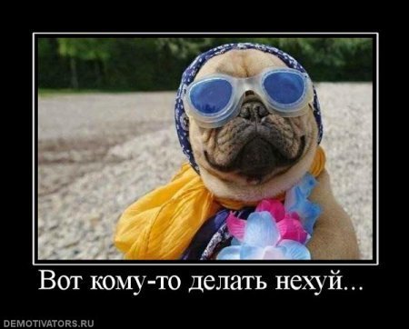 Демотиваторы, прикольные надписи и фотки.