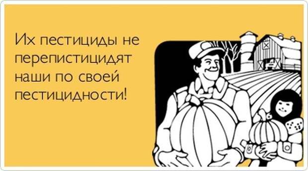 Прикольные открытки позитив, юмор, открытки