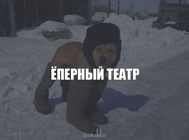 Смешные выражение, которые используют только в нашей стране (23 фото) Смешные выражение, которые используют только в нашей стране (23 фото)