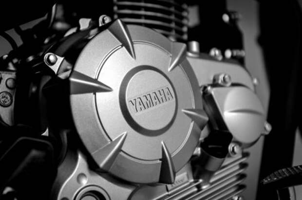 Всеядный Yamaha Fazer - Фото 3