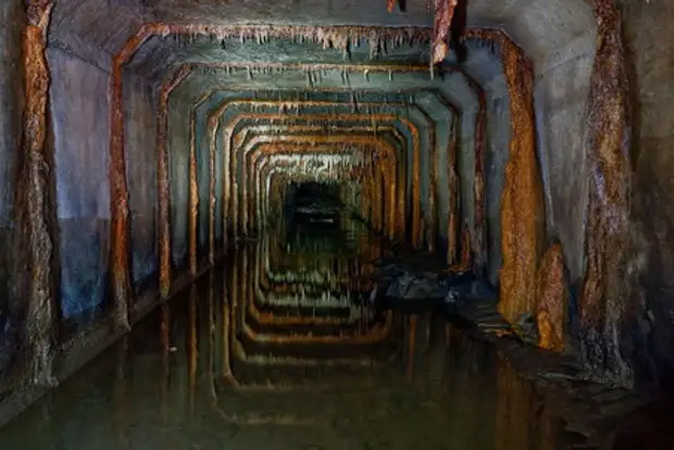 Биологи определили микроорганизмы, живущие в очистных сооружениях Москвы