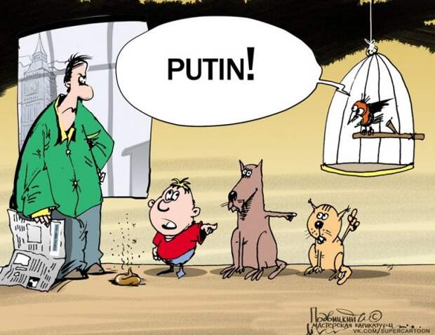 Не взрывают? Не бомбят? Тоже Путин виноват! Не взрывают? Не бомбят? Тоже Путин виноват!