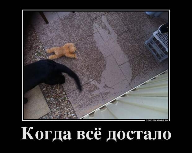 Демотиваторы демотиваторы, юмор